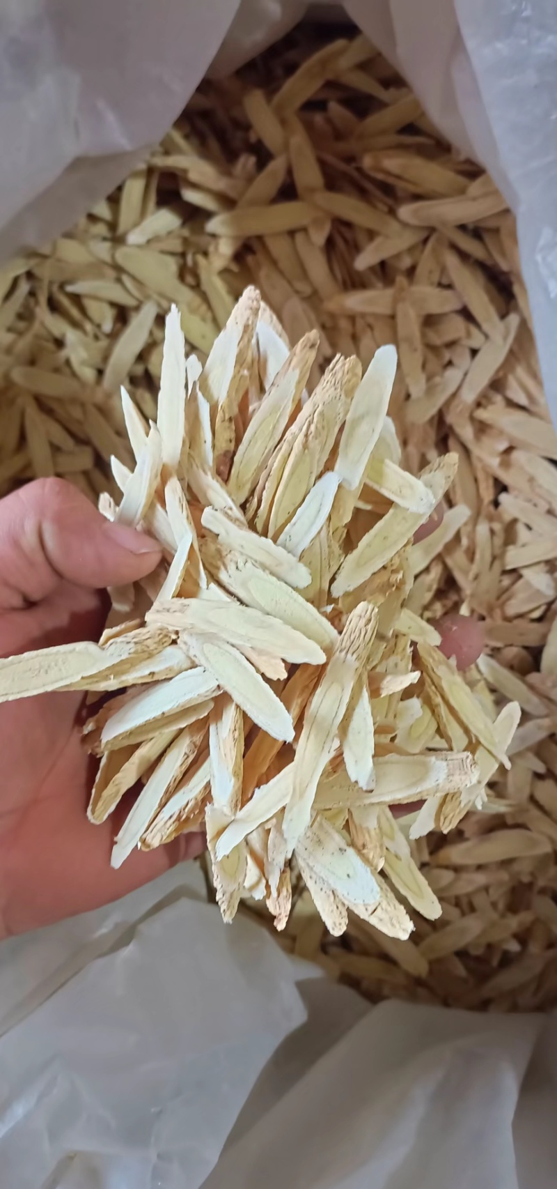 岷县精品黄芪大片中片小片产地直发诚信经营全国发货