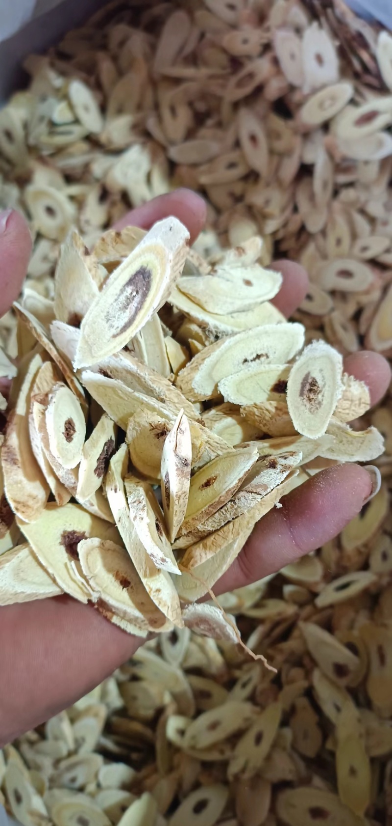 岷县精品黄芪大片中片小片产地直发诚信经营全国发货