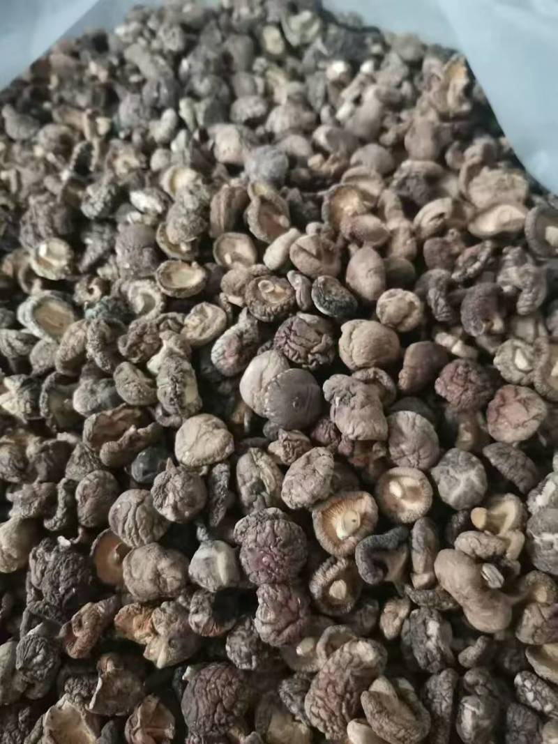 西峡香菇冬菇产地直发帮助找车