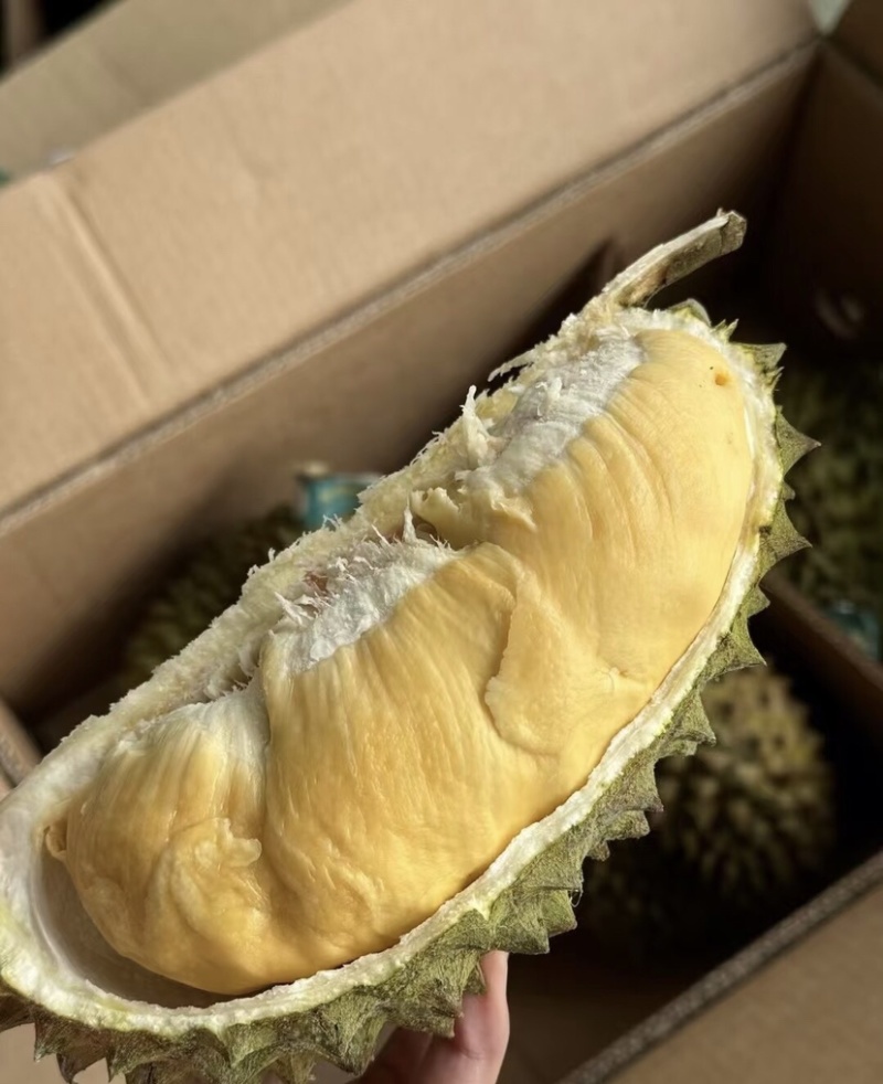菲律宾普雅榴莲广州江南市场源头直发品质保证