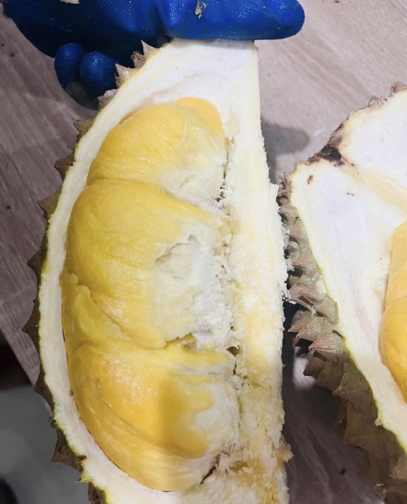 菲律宾普雅榴莲广州江南市场源头直发品质保证