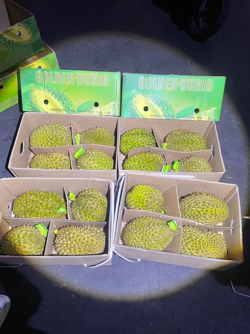 菲律宾普雅榴莲广州江南市场源头直发品质保证