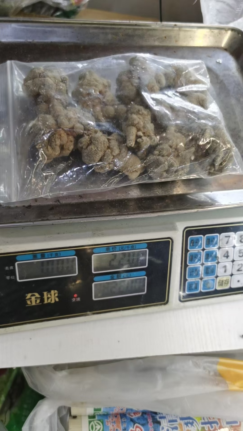 云南三七文山三七规格齐全可打粉一手好货对接各级