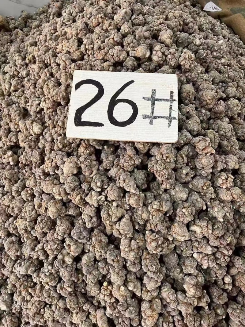 云南三七文山三七规格齐全可打粉一手好货对接各级