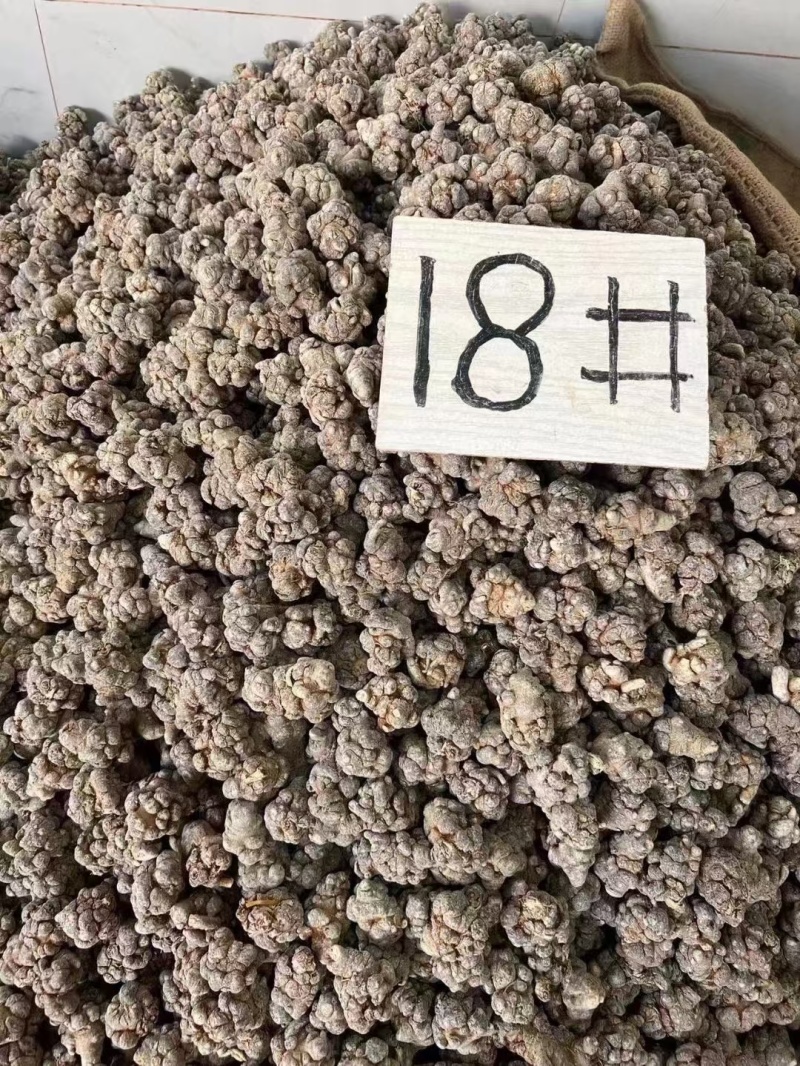 云南三七文山三七规格齐全可打粉一手好货对接各级