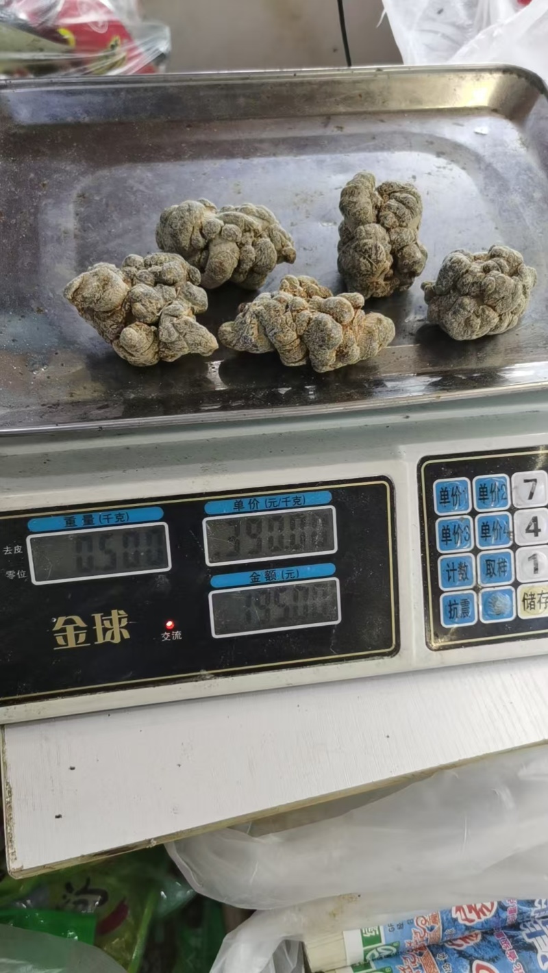 云南三七文山三七规格齐全可打粉一手好货对接各级