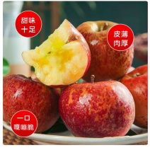 云南昭通红富士冰糖心丑苹果，大量供应，对接全国市场