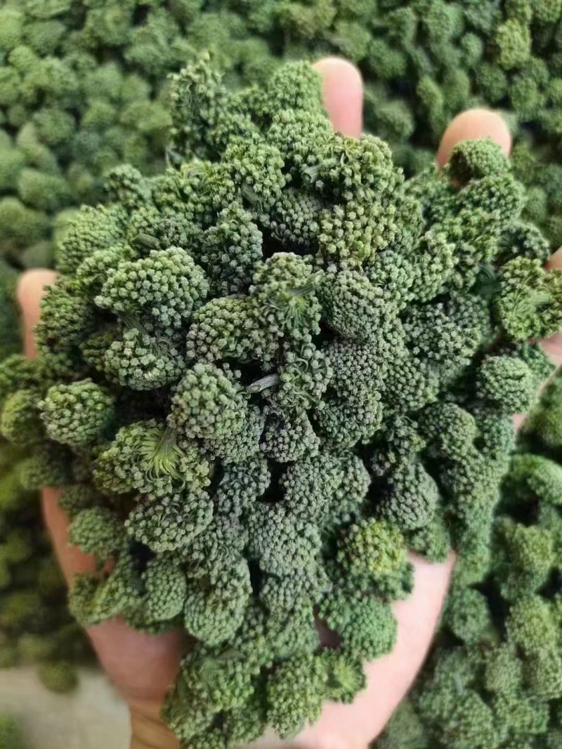 云南三七花精品一手好货按需供货欢迎咨询看货