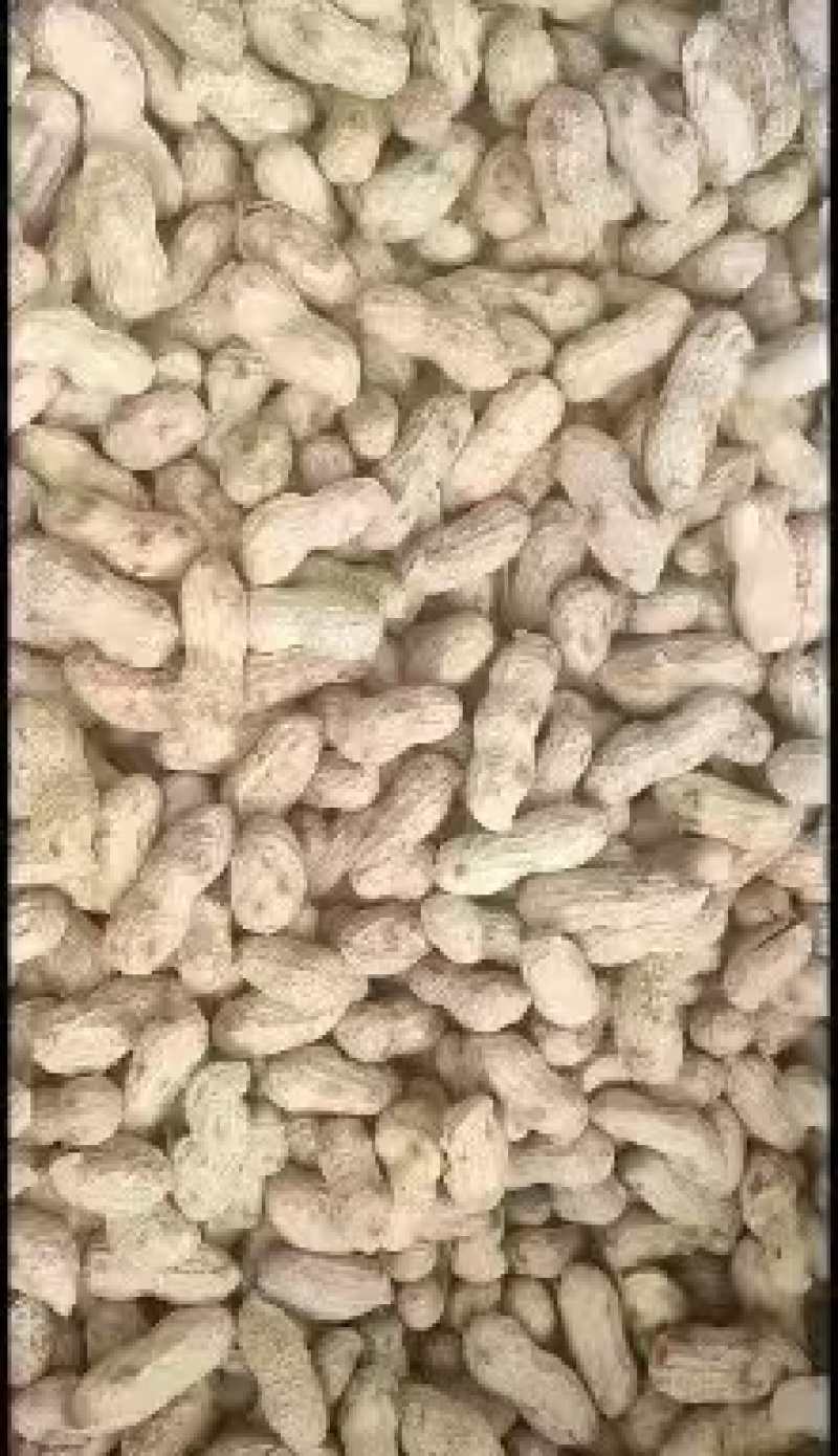 炒熟原味花生，大量供应