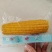 真空甜糯玉米开袋即食厂家直供品质保证欢迎来电咨询