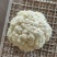 河北邯郸有机菜花大量上市一手货源可视频看货欢迎来电咨询
