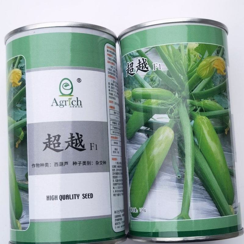 西葫芦种子超越翠绿色油亮瓜条整齐顺直耐寒越冬早春