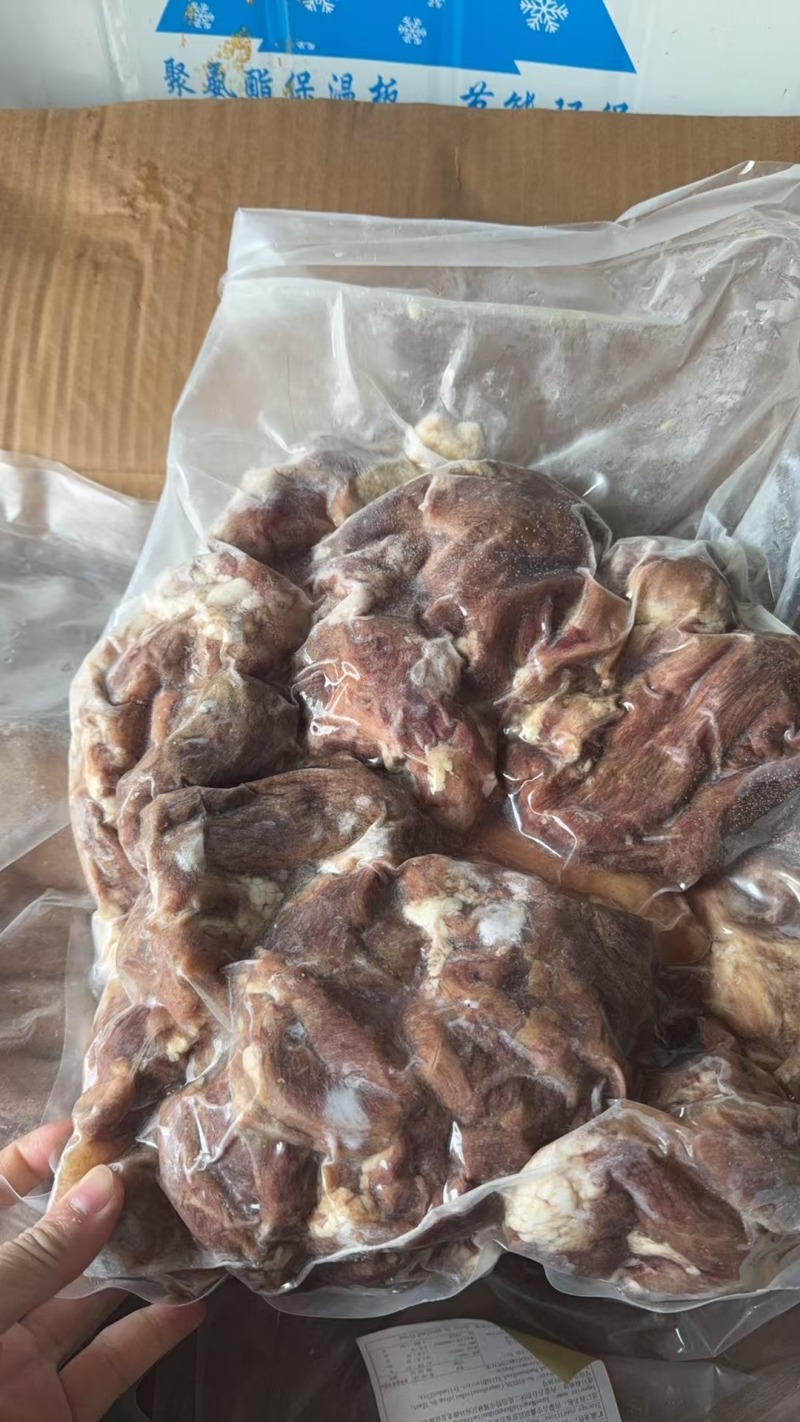 精选蒙古水煮熟山羊肉去皮去骨山羊肉八成熟羊肉汤饭店食材