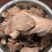 黄牛拆骨肉剔骨肉全熟牛肉冷冻带筋软骨肉带骨肉牛肉筋批发