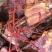 三角腊排色香味聚全一