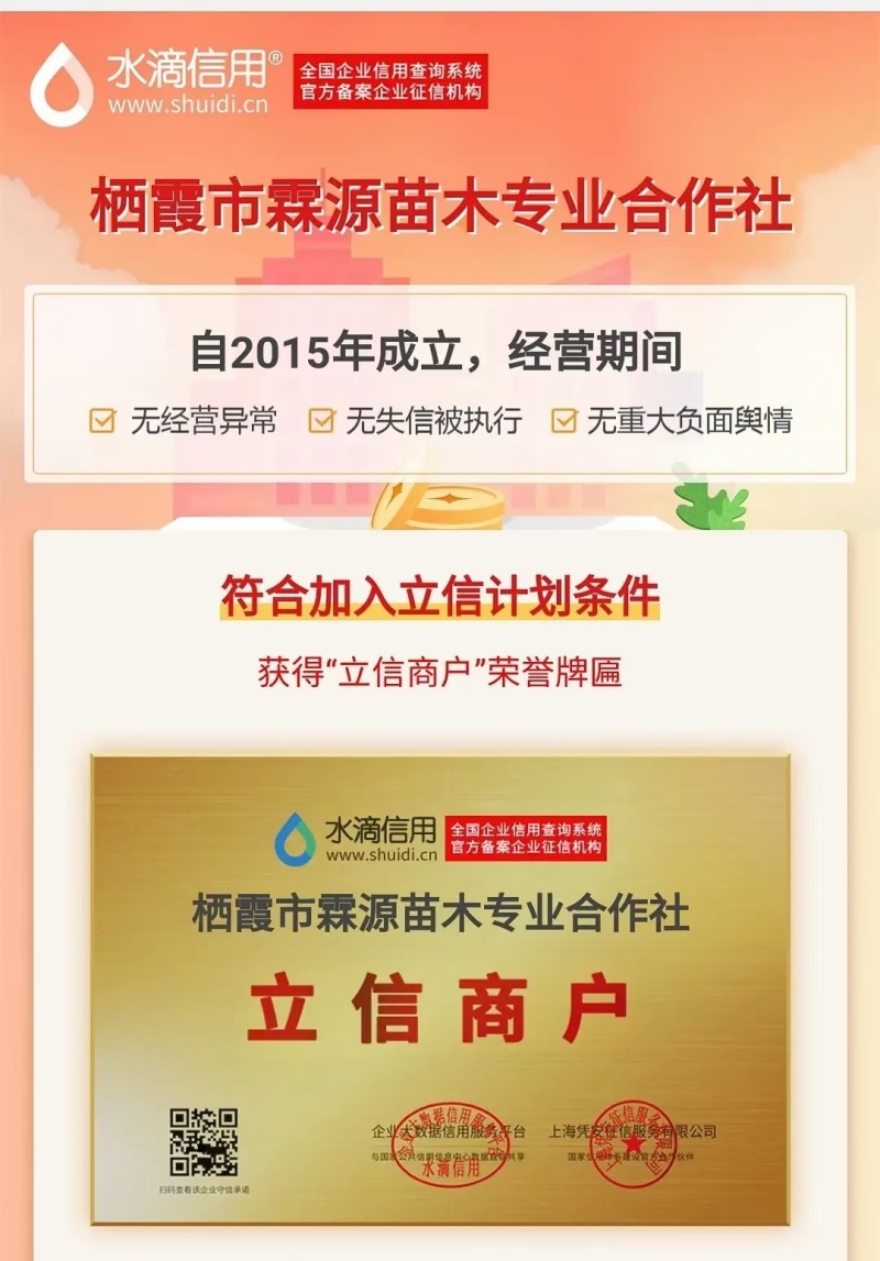 鲁丽，爱妃，瑞雪，王林，鸡血红，维纳斯黄金，新2001等