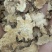 特选苍术正品价格美丽精品上新，量大从优，需要的老板包邮到