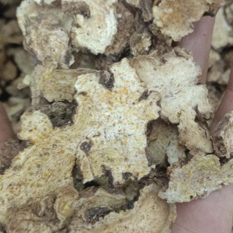 特选苍术正品价格美丽精品上新，量大从优，需要的老板包邮到