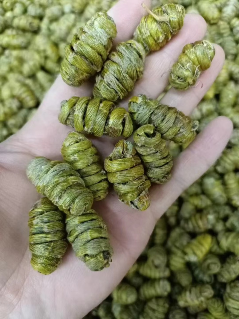 铁皮石斛云南石斛石斛枫斗鲜条干条产地一手好货
