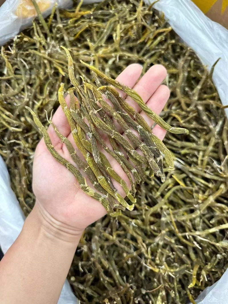 铁皮石斛云南石斛石斛枫斗鲜条干条产地一手好货