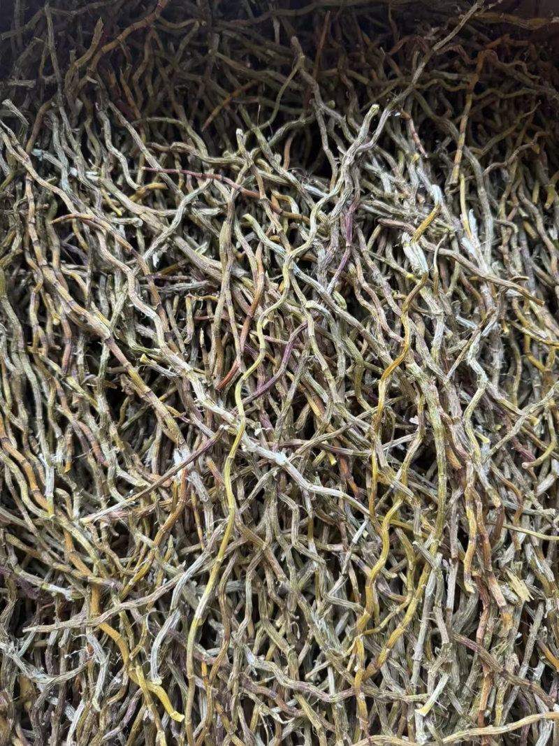 铁皮石斛云南石斛石斛枫斗鲜条干条产地一手好货