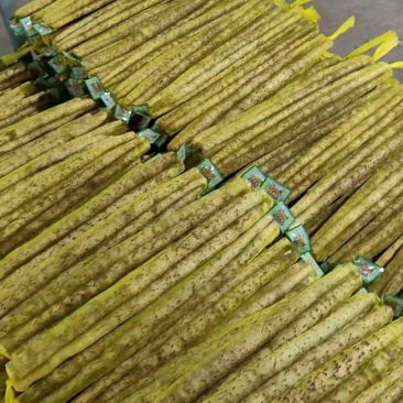 正宗新鲜现挖山药软糯淮小白嘴山药当季产地直发网袋山药