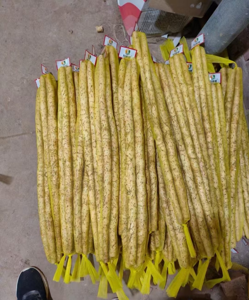 正宗新鲜现挖山药软糯淮小白嘴山药当季产地直发网袋山药