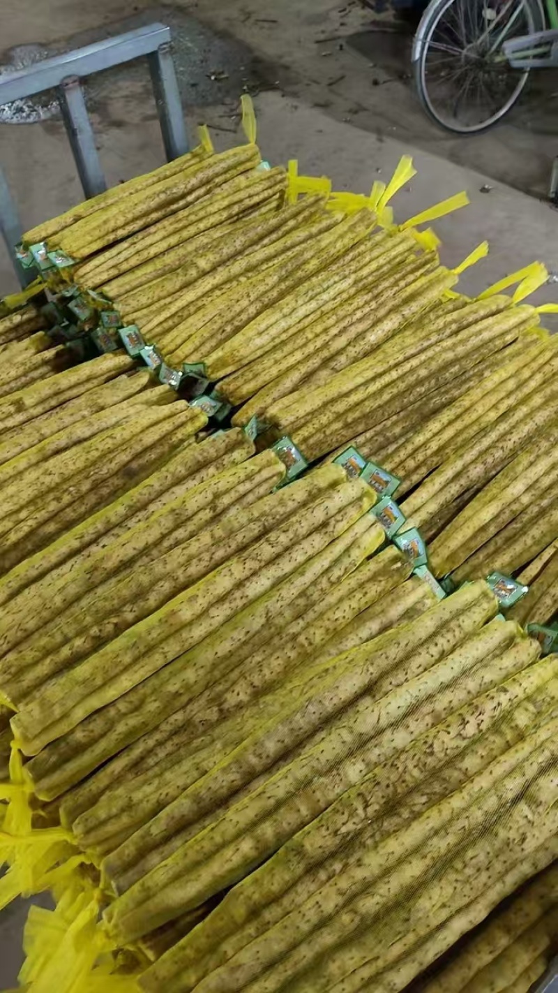 正宗新鲜现挖山药软糯淮小白嘴山药当季产地直发网袋山药
