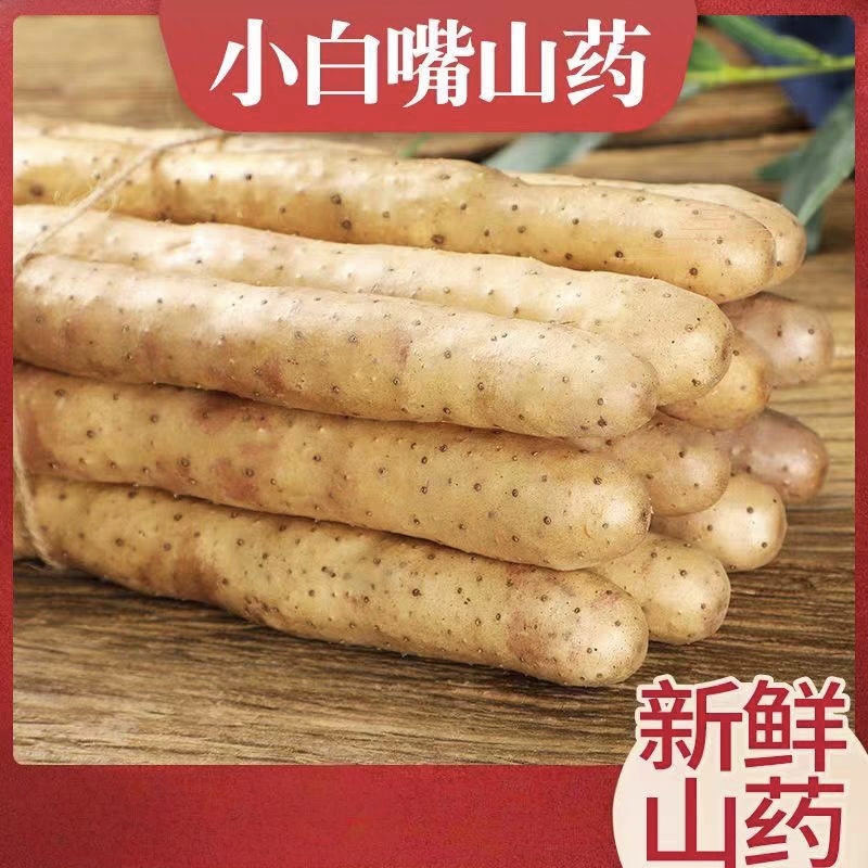 正宗新鲜现挖山药软糯淮小白嘴山药当季产地直发网袋山药