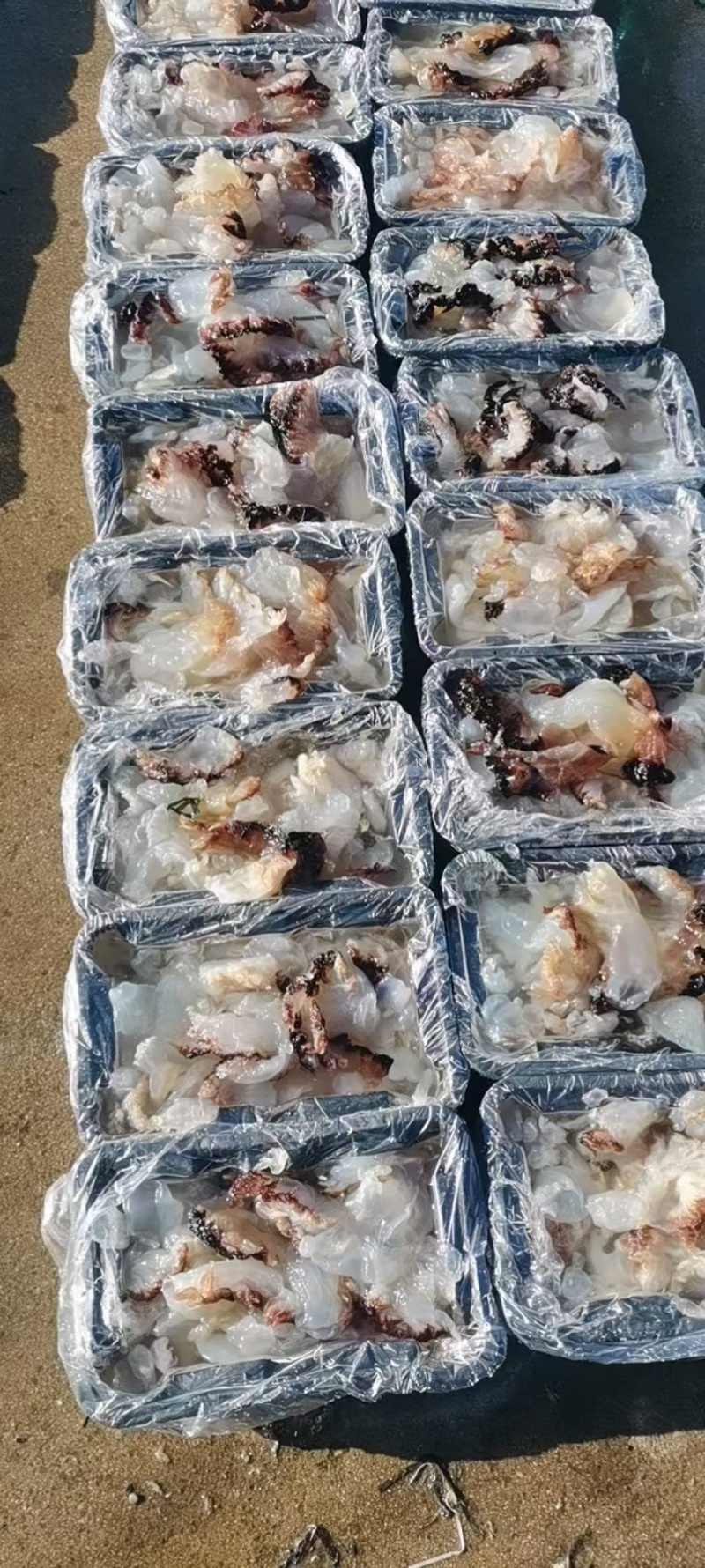 海蜇头，