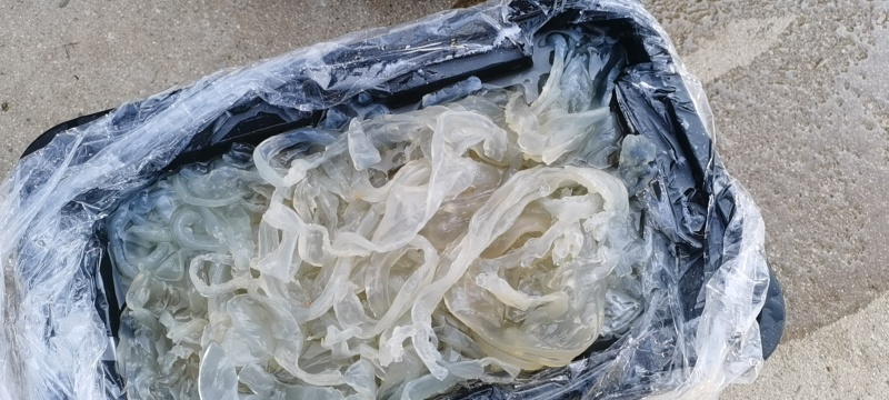 海蜇丝