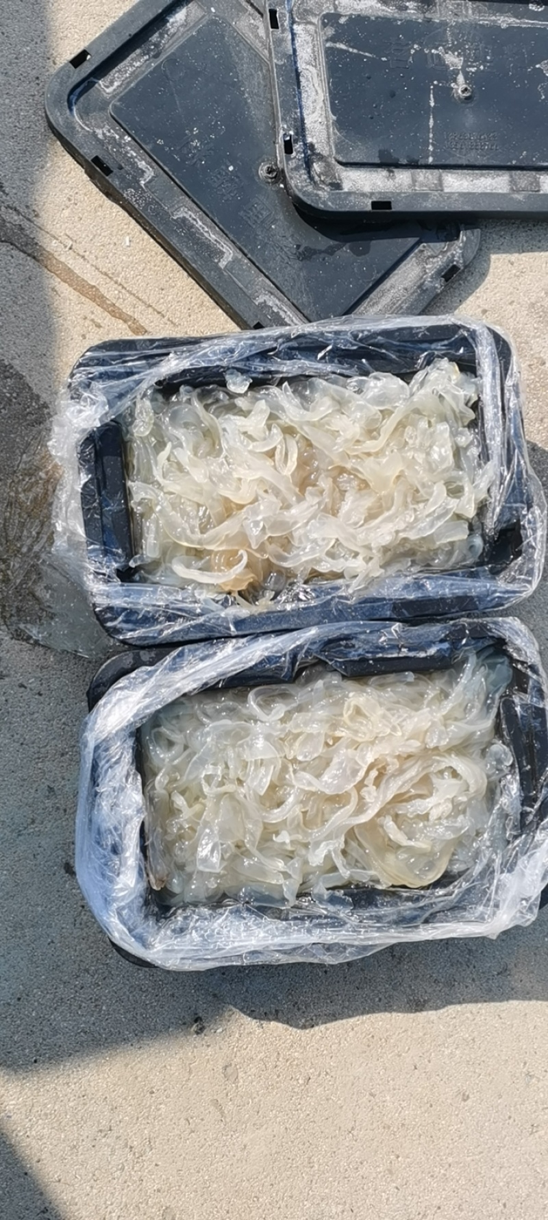 海蜇丝