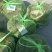 大量兴化残蟹