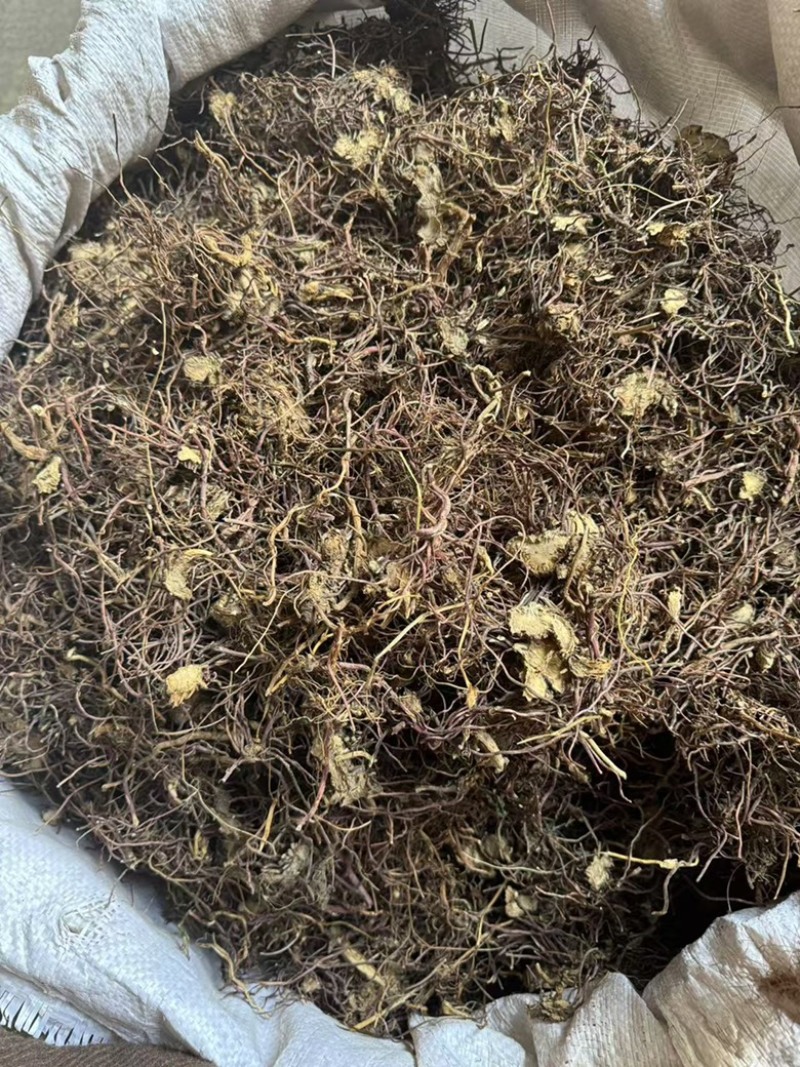 紫苑正品紫鸢水洗货发货如图实拍干净