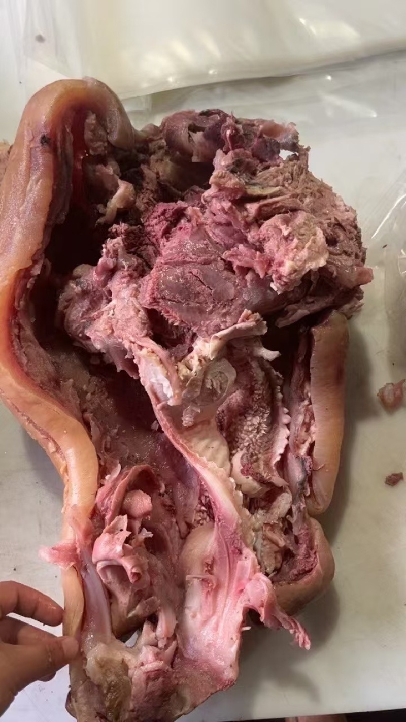 火烧毛熟牛头肉