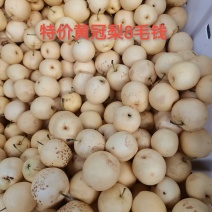 特价黄冠梨五毛钱