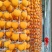 富平柿饼，通货标准，已经上霜，软糯香甜，可合作2956