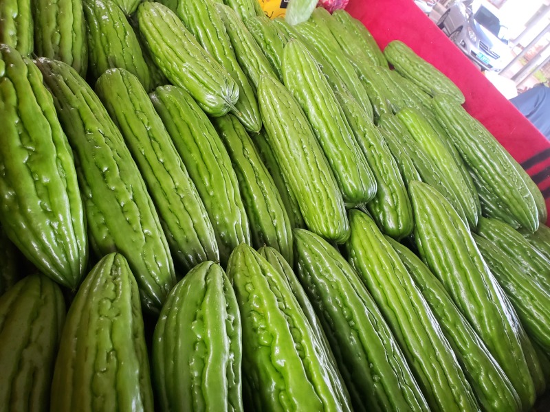 广东湛江苦瓜，大量供应中，产地直销，按需做货