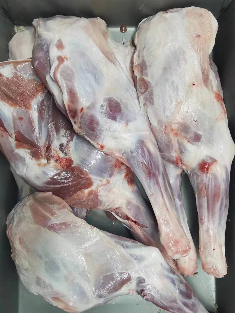羔羊前腿