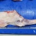 羔羊前腿