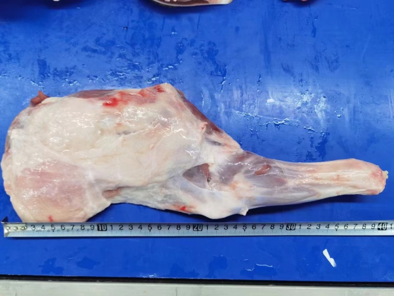 羔羊前腿