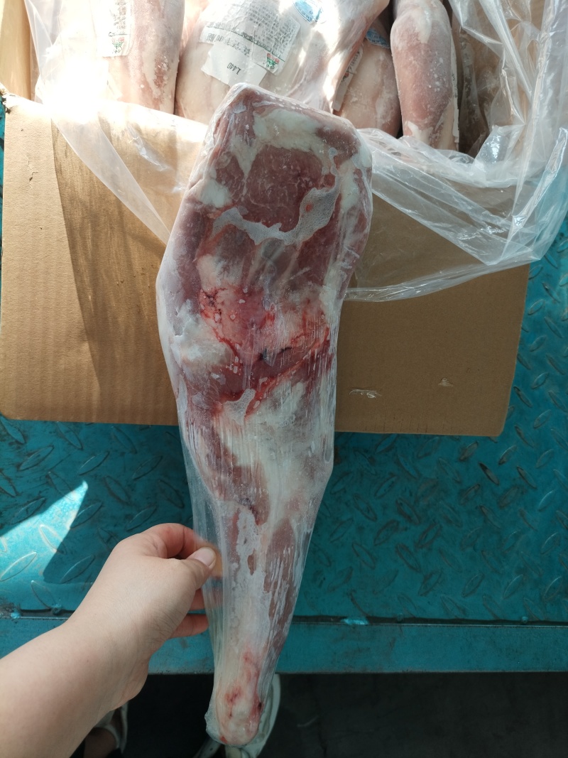 羔羊前腿