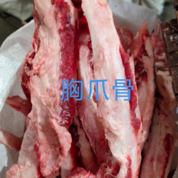 牛胸爪骨