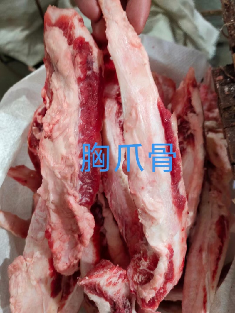 牛胸爪骨