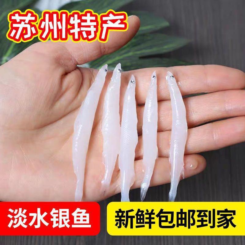 【国产放心购】淡水冰鲜银鱼新鲜冷冻苏州面条鱼银鱼包邮