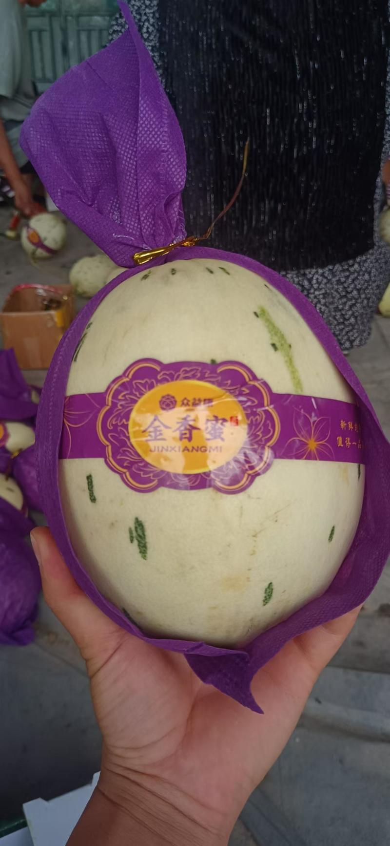 【热卖】精品玉菇甜瓜供应市场商超电商品质保证量大价优