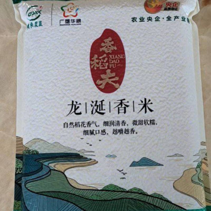 广垦龙涎香米