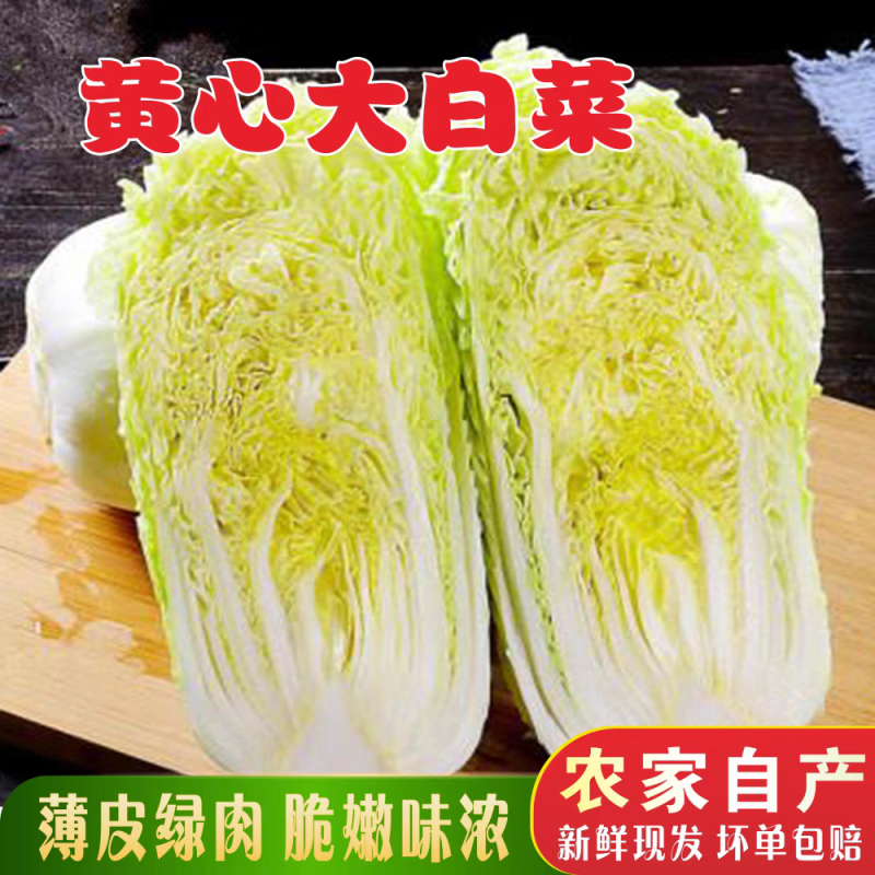 【湖北白菜】咸宁白菜/黄心白菜/整车发货/供应全国市场