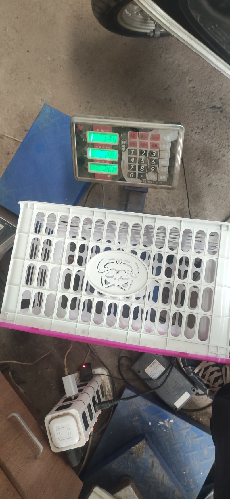 厂价直销塑料瓷白框塑料黑框，爱媛板框，葡萄框等各种礼品框