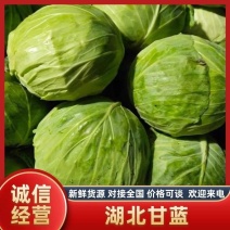 【精品甘蓝】湖北甘蓝/产地直发/供应市场电商/欢迎来电